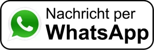 nachricht-per-whatsapp-300x981